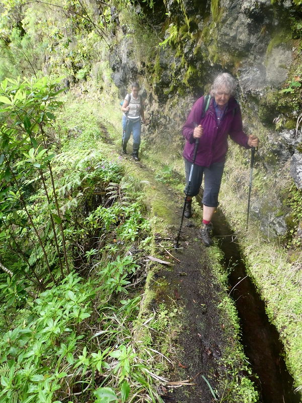 11 July 2018 From the Fanal road via Relvinha to the Levada do Seixal and ascent via the Levada do Norte to Paul da Serra — Back to the ascent path and on the Lombo das Barbinhas to the Levada do Norte — photo 2