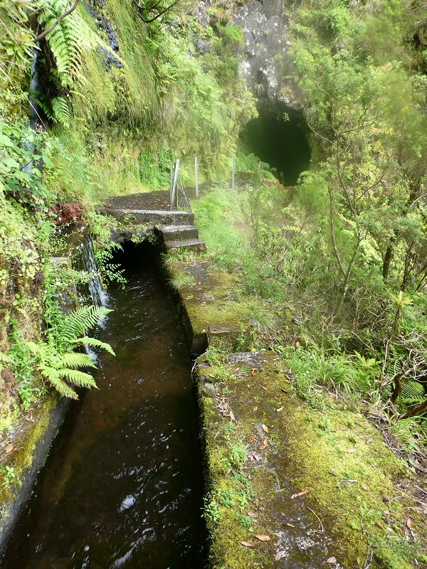 11 July 2018 From the Fanal road via Relvinha to the Levada do Seixal and ascent via the Levada do Norte to Paul da Serra — To the Madre of the Levada do Norte and back — photo 1