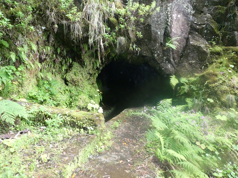 11 July 2018 From the Fanal road via Relvinha to the Levada do Seixal and ascent via the Levada do Norte to Paul da Serra — To the Madre of the Levada do Norte and back — photo 5
