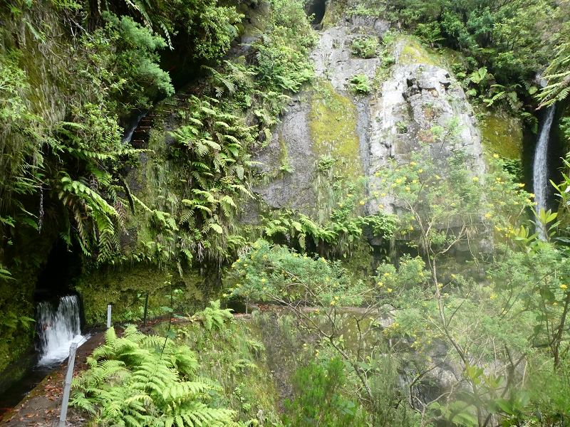 11 July 2018 From the Fanal road via Relvinha to the Levada do Seixal and ascent via the Levada do Norte to Paul da Serra — To the Madre of the Levada do Norte and back — photo 6