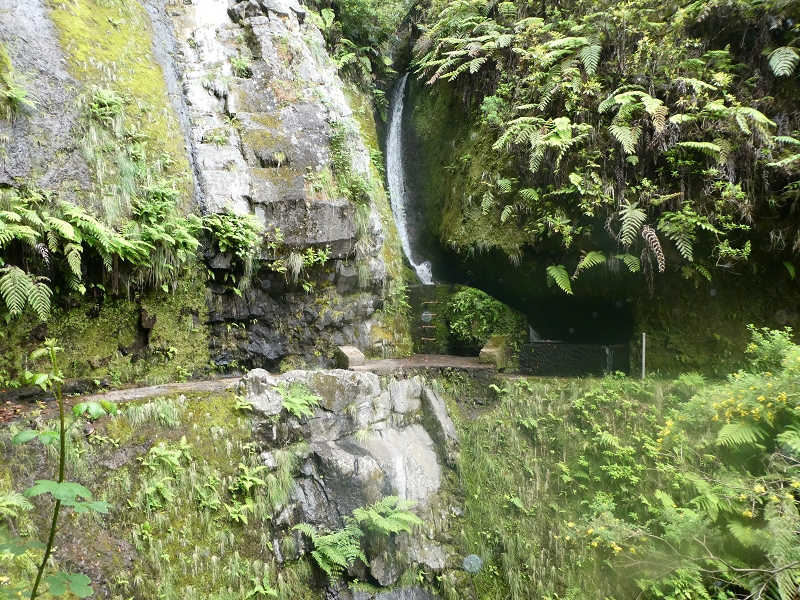 11 July 2018 From the Fanal road via Relvinha to the Levada do Seixal and ascent via the Levada do Norte to Paul da Serra — To the Madre of the Levada do Norte and back — photo 7