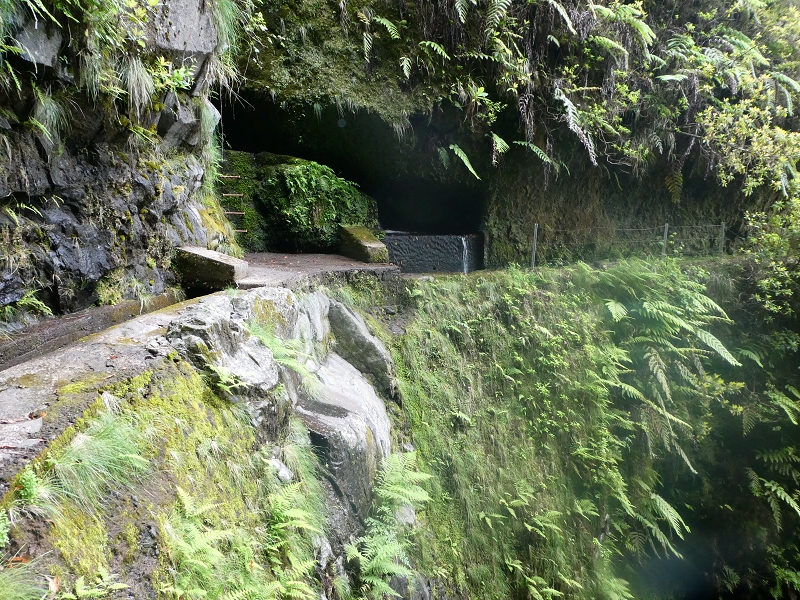 11 July 2018 From the Fanal road via Relvinha to the Levada do Seixal and ascent via the Levada do Norte to Paul da Serra — To the Madre of the Levada do Norte and back — photo 9