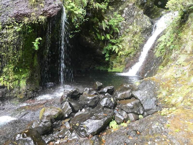 11 July 2018 From the Fanal road via Relvinha to the Levada do Seixal and ascent via the Levada do Norte to Paul da Serra — To the Madre of the Levada do Norte and back — photo 15