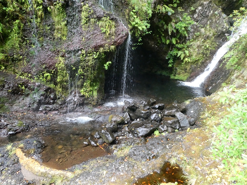 11 July 2018 From the Fanal road via Relvinha to the Levada do Seixal and ascent via the Levada do Norte to Paul da Serra — To the Madre of the Levada do Norte and back — photo 16