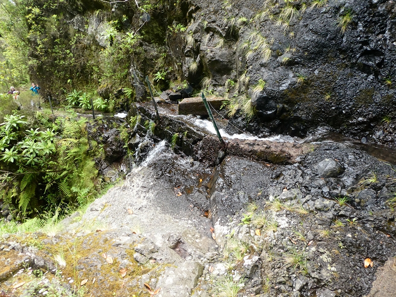 11 July 2018 From the Fanal road via Relvinha to the Levada do Seixal and ascent via the Levada do Norte to Paul da Serra — To the Madre of the Levada do Norte and back — photo 19