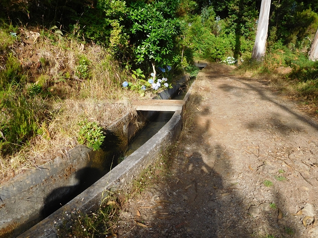 11 August 2015 Levada do Plaino Velho and descent to the Levada da Faja do Rodrigues — From Achada do Loural to the Levada do Plaino Velho — photo 1