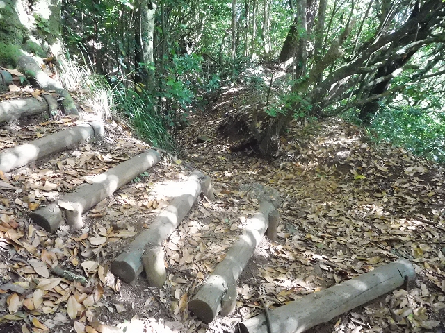 11 August 2015 Levada do Plaino Velho and descent to the Levada da Faja do Rodrigues — From Achada do Loural to the Levada do Plaino Velho — photo 10