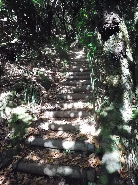 11 August 2015 Levada do Plaino Velho and descent to the Levada da Faja do Rodrigues — From Achada do Loural to the Levada do Plaino Velho — photo 12