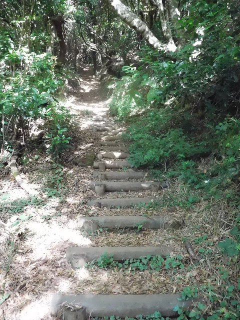 11 August 2015 Levada do Plaino Velho and descent to the Levada da Faja do Rodrigues — From Achada do Loural to the Levada do Plaino Velho — photo 13