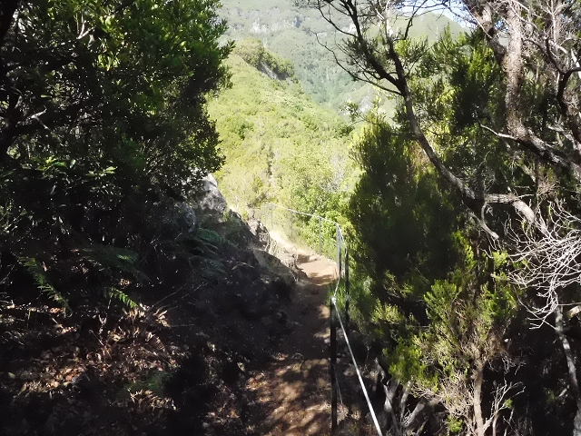 11 August 2015 Levada do Plaino Velho and descent to the Levada da Faja do Rodrigues — From Achada do Loural to the Levada do Plaino Velho — photo 14