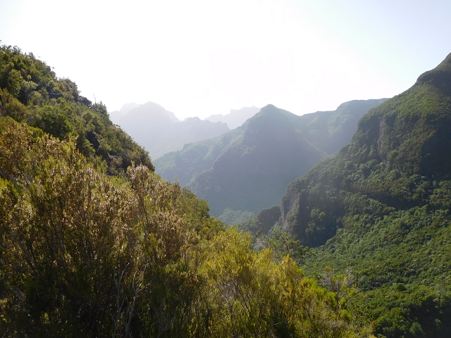 11 August 2015 Levada do Plaino Velho and descent to the Levada da Faja do Rodrigues — From Achada do Loural to the Levada do Plaino Velho — photo 15