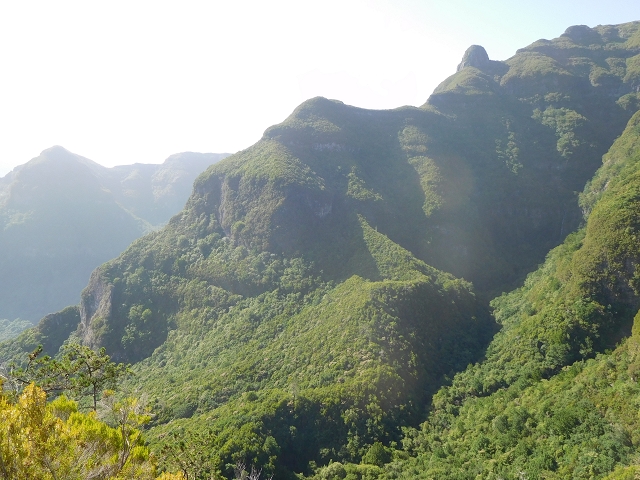 11 August 2015 Levada do Plaino Velho and descent to the Levada da Faja do Rodrigues — From Achada do Loural to the Levada do Plaino Velho — photo 16