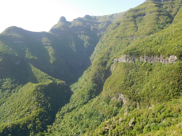 11 August 2015 Levada do Plaino Velho and descent to the Levada da Faja do Rodrigues — From Achada do Loural to the Levada do Plaino Velho — photo 17