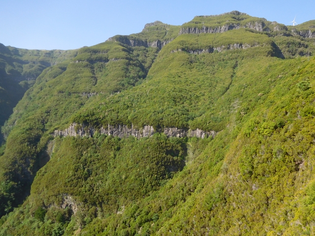 11 August 2015 Levada do Plaino Velho and descent to the Levada da Faja do Rodrigues — From Achada do Loural to the Levada do Plaino Velho — photo 18