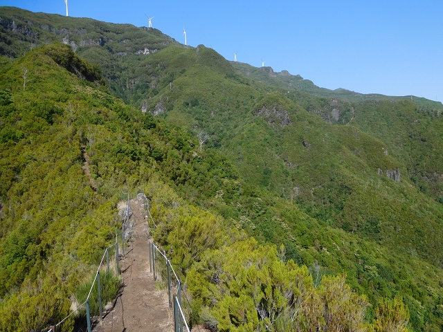 11 August 2015 Levada do Plaino Velho and descent to the Levada da Faja do Rodrigues — From Achada do Loural to the Levada do Plaino Velho — photo 19