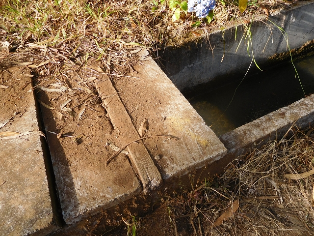 11 August 2015 Levada do Plaino Velho and descent to the Levada da Faja do Rodrigues — From Achada do Loural to the Levada do Plaino Velho — photo 2