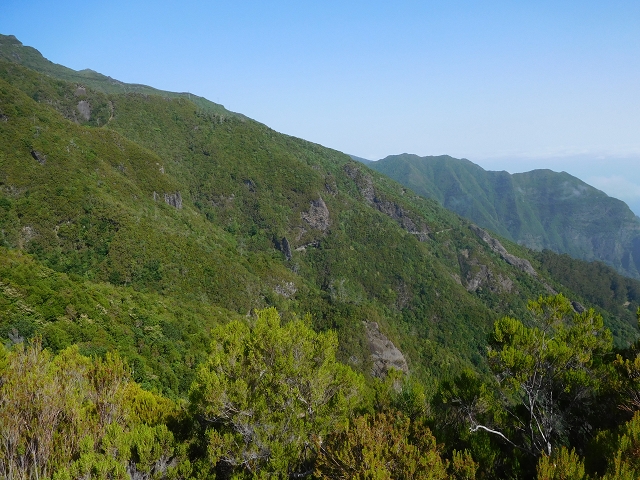 11 August 2015 Levada do Plaino Velho and descent to the Levada da Faja do Rodrigues — From Achada do Loural to the Levada do Plaino Velho — photo 20