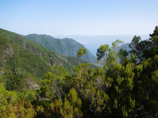 11 August 2015 Levada do Plaino Velho and descent to the Levada da Faja do Rodrigues — From Achada do Loural to the Levada do Plaino Velho — photo 21
