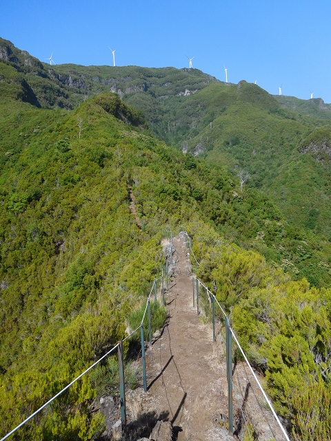 11 August 2015 Levada do Plaino Velho and descent to the Levada da Faja do Rodrigues — From Achada do Loural to the Levada do Plaino Velho — photo 22