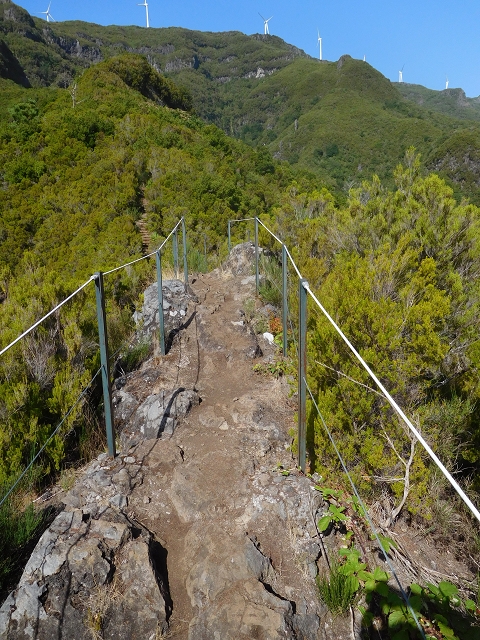11 August 2015 Levada do Plaino Velho and descent to the Levada da Faja do Rodrigues — From Achada do Loural to the Levada do Plaino Velho — photo 24