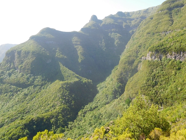 11 August 2015 Levada do Plaino Velho and descent to the Levada da Faja do Rodrigues — From Achada do Loural to the Levada do Plaino Velho — photo 26
