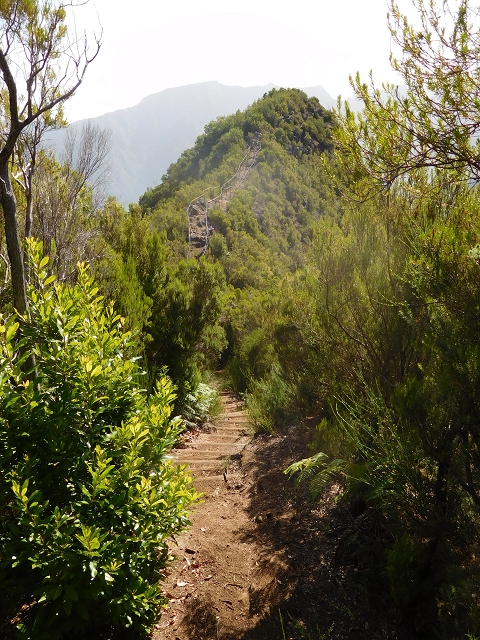 11 August 2015 Levada do Plaino Velho and descent to the Levada da Faja do Rodrigues — On the Levada do Plaino Velho — photo 1