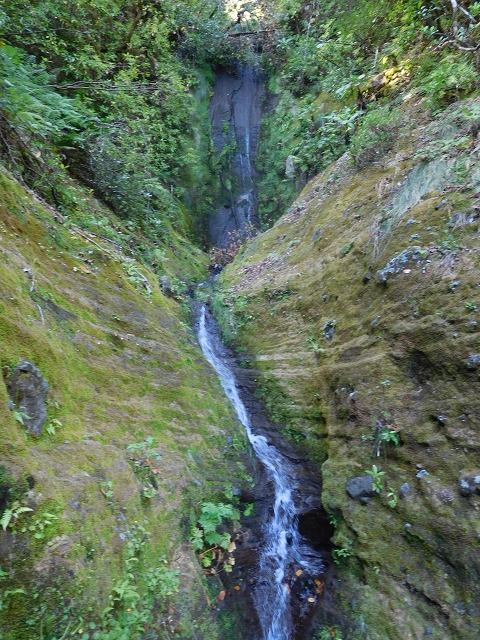 11 August 2015 Levada do Plaino Velho and descent to the Levada da Faja do Rodrigues — On the Levada do Plaino Velho — photo 10