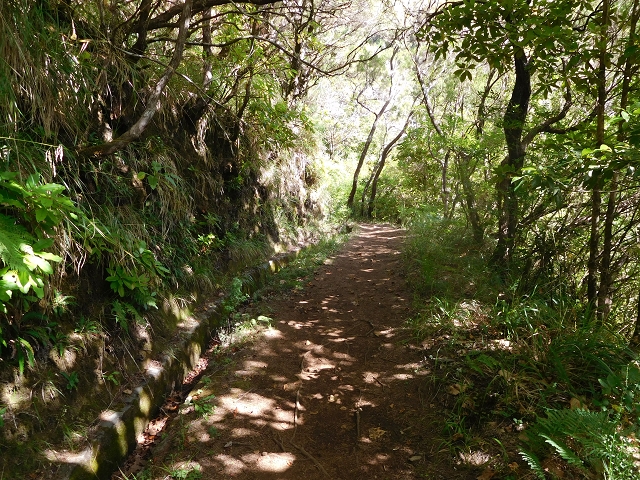 11 August 2015 Levada do Plaino Velho and descent to the Levada da Faja do Rodrigues — On the Levada do Plaino Velho — photo 15