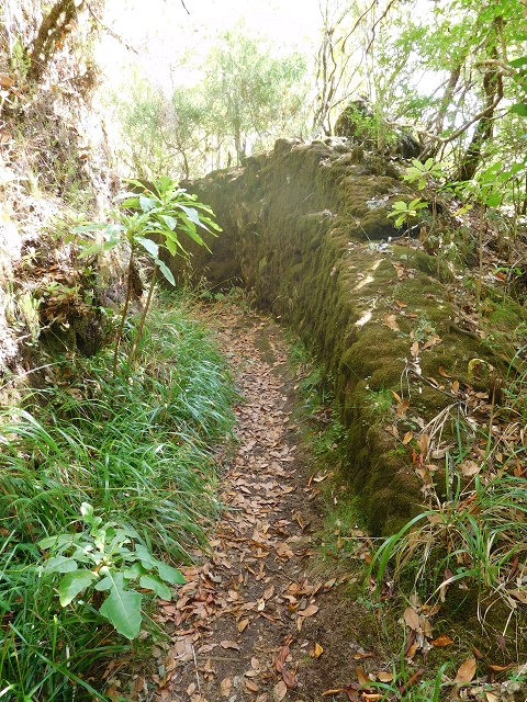 11 August 2015 Levada do Plaino Velho and descent to the Levada da Faja do Rodrigues — On the Levada do Plaino Velho — photo 16
