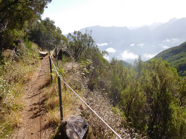 11 August 2015 Levada do Plaino Velho and descent to the Levada da Faja do Rodrigues — On the Levada do Plaino Velho — photo 18