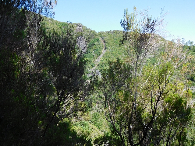 11 August 2015 Levada do Plaino Velho and descent to the Levada da Faja do Rodrigues — On the Levada do Plaino Velho — photo 20