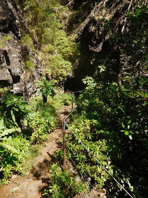 11 August 2015 Levada do Plaino Velho and descent to the Levada da Faja do Rodrigues — On the Levada do Plaino Velho — photo 21
