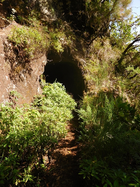11 August 2015 Levada do Plaino Velho and descent to the Levada da Faja do Rodrigues — On the Levada do Plaino Velho — photo 22