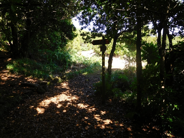 11 August 2015 Levada do Plaino Velho and descent to the Levada da Faja do Rodrigues — On the Levada do Plaino Velho — photo 24