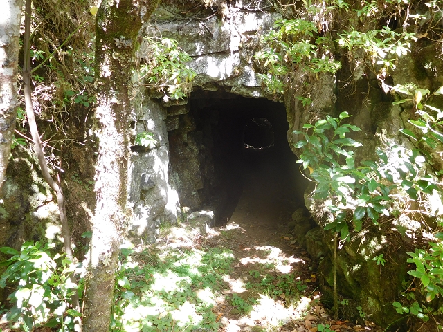 11 August 2015 Levada do Plaino Velho and descent to the Levada da Faja do Rodrigues — On the Levada do Plaino Velho — photo 25
