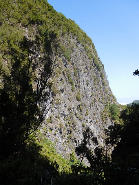11 August 2015 Levada do Plaino Velho and descent to the Levada da Faja do Rodrigues — On the Levada do Plaino Velho — photo 27