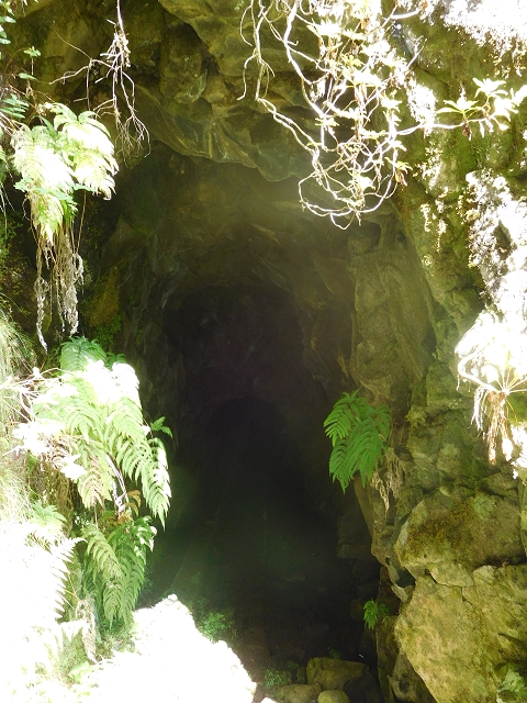 11 August 2015 Levada do Plaino Velho and descent to the Levada da Faja do Rodrigues — On the Levada do Plaino Velho — photo 28