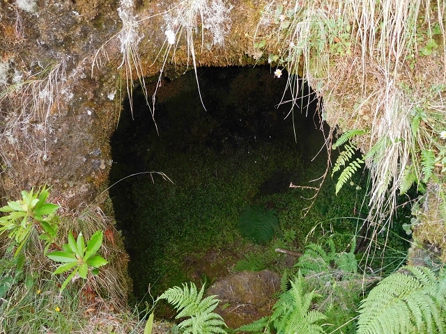 11 August 2015 Levada do Plaino Velho and descent to the Levada da Faja do Rodrigues — On the Levada do Plaino Velho — photo 32