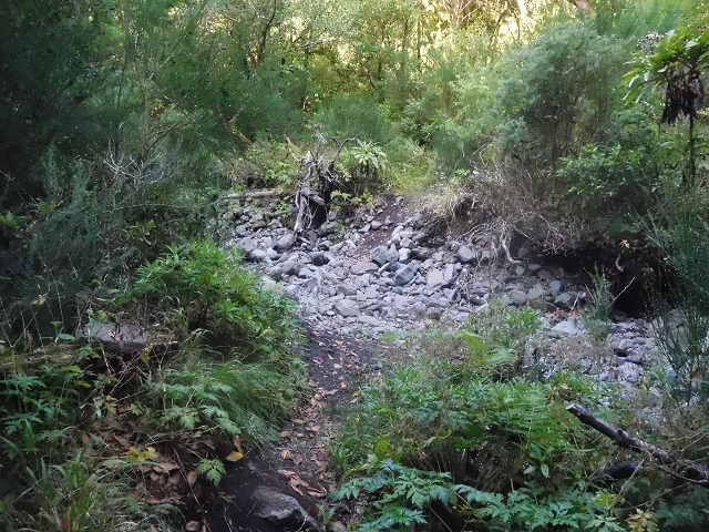 11 August 2015 Levada do Plaino Velho and descent to the Levada da Faja do Rodrigues — From Achada do Loural to the Levada do Plaino Velho — photo 6
