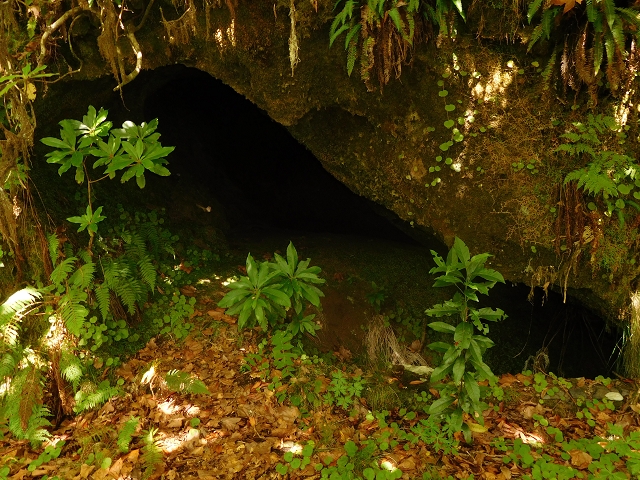 11 August 2015 Levada do Plaino Velho and descent to the Levada da Faja do Rodrigues — On the Levada do Plaino Velho — photo 35