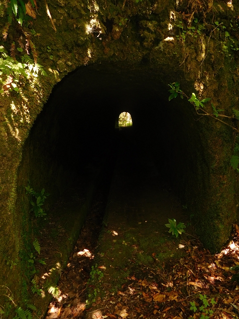 11 August 2015 Levada do Plaino Velho and descent to the Levada da Faja do Rodrigues — On the Levada do Plaino Velho — photo 36