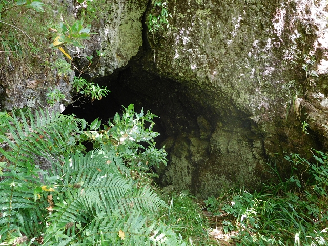 11 August 2015 Levada do Plaino Velho and descent to the Levada da Faja do Rodrigues — On the Levada do Plaino Velho — photo 41