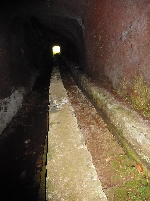 11 August 2015 Levada do Plaino Velho and descent to the Levada da Faja do Rodrigues — On the Levada do Plaino Velho — photo 42