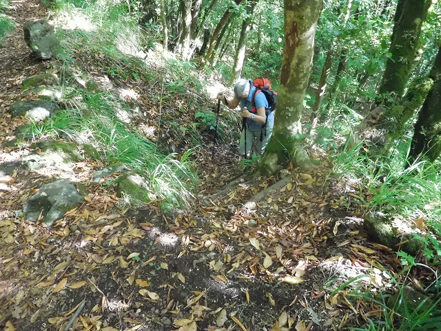 11 August 2015 Levada do Plaino Velho and descent to the Levada da Faja do Rodrigues — From Achada do Loural to the Levada do Plaino Velho — photo 7