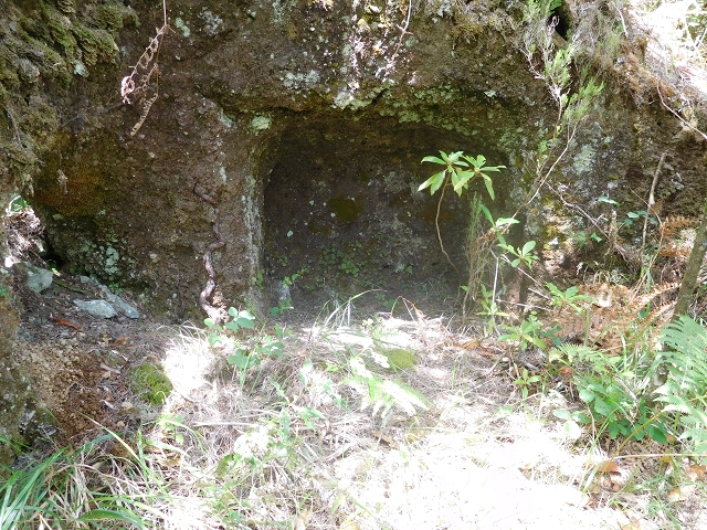 11 August 2015 Levada do Plaino Velho and descent to the Levada da Faja do Rodrigues — Descent to the Levada da Faja do Rodrigues — photo 4