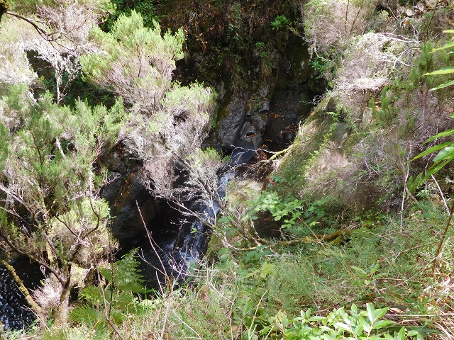 11 August 2015 Levada do Plaino Velho and descent to the Levada da Faja do Rodrigues — Descent to the Levada da Faja do Rodrigues — photo 5