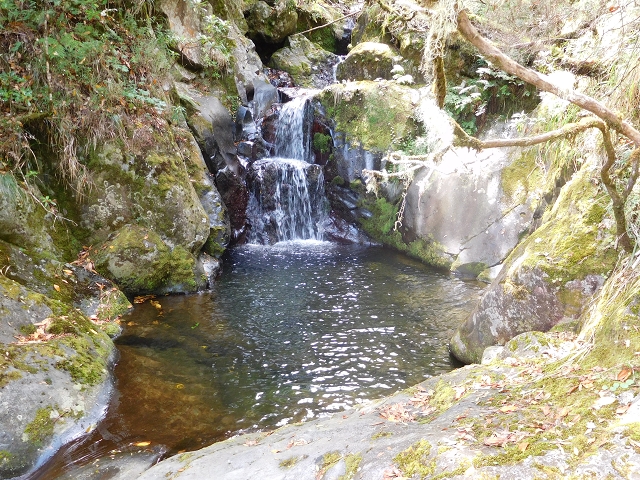 11 August 2015 Levada do Plaino Velho and descent to the Levada da Faja do Rodrigues — Descent to the Levada da Faja do Rodrigues — photo 6