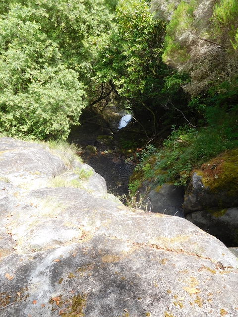 11 August 2015 Levada do Plaino Velho and descent to the Levada da Faja do Rodrigues — Descent to the Levada da Faja do Rodrigues — photo 7