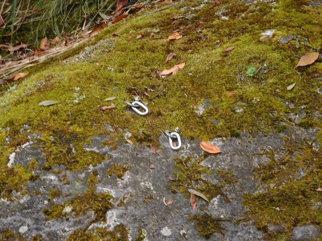11 August 2015 Levada do Plaino Velho and descent to the Levada da Faja do Rodrigues — Descent to the Levada da Faja do Rodrigues — photo 8