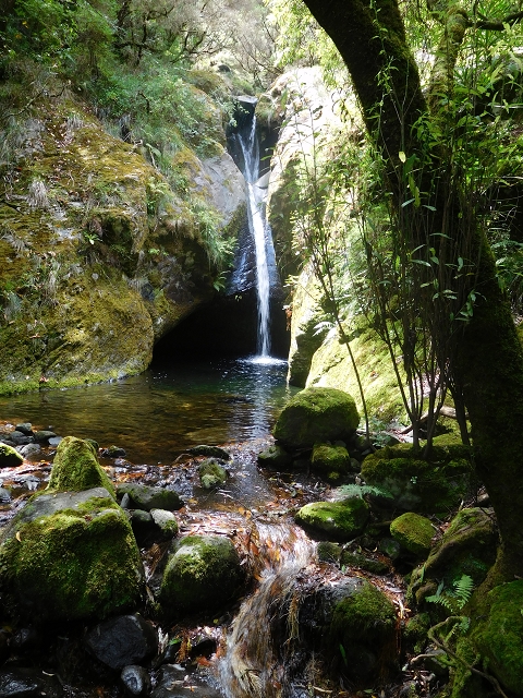11 August 2015 Levada do Plaino Velho and descent to the Levada da Faja do Rodrigues — Descent to the Levada da Faja do Rodrigues — photo 9
